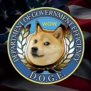 Coin image for Ag8FTjLM8gggokwesL7h4CCLkFHSWjEkrX1Doi2d2L3D