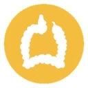 Coin image for AghW7gNvKWTaRw5pwzGTfx3YpT6DYmkL8U4f3WVZbonk