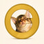 Catecoin