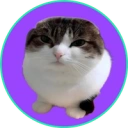 Coin image for AmKdcXReYTwmxtekQ5SiPTbnLtnwkzJpFbZ5XucBJPzK