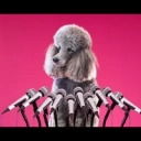 Coin image for AvZpNmkEAHNg7hRwyYWKgxUM2qSDLreTapyBFa1niXZM