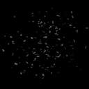 Coin image for B4QSzPSoJyqxHYmpX4FgyL2dyzHFPTJggQvEwF1kbonk