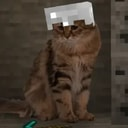 MINECAT