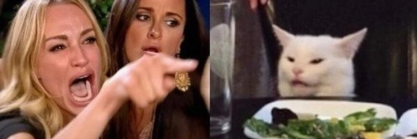 WOMAN YELLING AT CAT Banner