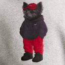CHILLDOG
