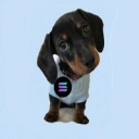 Coin image for BJaKkbTMEe7c9QiPwaWymApeWvY3druVLWN9YQyRpump