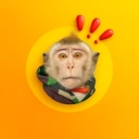 Coin image for BPbn3QogJLy7zhAmki7TtXzKLZa7jP93HRyXJUpBbonk