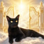 Justice for Chibbi