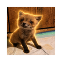 Coin image for BSxWdiDQmms4cDsnT5N5eiYHRpaM6fQo5fagdkApyo4
