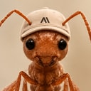 ANT