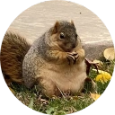 Coin image for BUMz6F8M6sWsZhZrmJuBMTWxYXfqEEPKbzcZiG7u7dfq