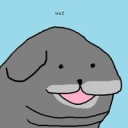 Coin image for BZQk5oRtoM6PxoEjddWLVD6zbAG95Ep14PeXzdiCbonk