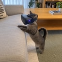 VRCAT