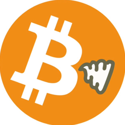 Coin image for BfUq8vEc8xE86vFhFB6RumKVSaCnJVwJW7hrqrrNpump
