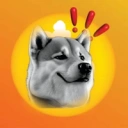 Coin image for BfWJKtrUCZjMQ7vftvxBNLrBUuqhm4QYK74wKM7xbonk
