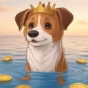 Coin image for BgAZQ9BgsukCvT2jnYVPUnehkPqkao8FhgbwDKecQeKi