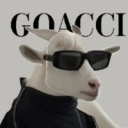 GOACCI