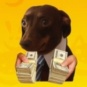 Coin image for Bi2w3sfNLbfoGcwzqBbT7oW6m2CfcBXyFLyiBhcjbonk