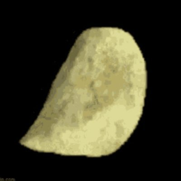 Community Open Sourced logo