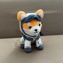 Coin image for BshinEkzVnrWN1WkJcCUqM9czG6Kfev3sZSM62BCdoge