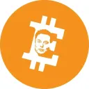 Coin image for BtwjLuUcjPvgqiihvDmHsK3kPYRMqZ7FHJS1DupRR3Yi