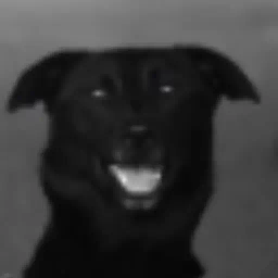 Coin image for Bv5BFJnCA58DPnSiRLXCws6T7xezbWBDfUQhwdnUpump