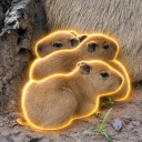 Coin image for BxSdXqVkos6FqCFK4CiNfkxguuWKKwFkaVz7iiJkpump