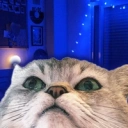 Coin image for BxqCWFgqktLRbTgmqoPvetCUWpcBvQJKbSFzB9Dhbonk