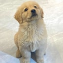 Coin image for C1s1b2SLamCBughDbDpC8XE66CLLdyzLbK5fcgxXbonk