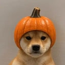 Pumpkinu