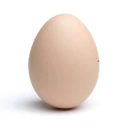 Coin image for CTEa6FdASurYCQCZkyzkzdwFC4JVRvtpNYrCQQEDePed
