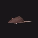 Coin image for CTyKr3oGdoPKwyBG3oWjcjjxBRqxjUnnon3Mwoxa9qfJ