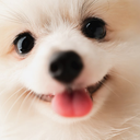 Coin image for CUjPmPfFeciYgTAhzCJhNefv7pA6H8HyfbhSHwGkpump
