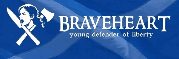 Young Defender of Liberty banner