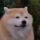 Coin image for Ce3LzNQGTDLZjvhgkfTpzBAdpdTn7iv6PVTQz4r5bonk