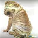 Coin image for CgVQ2RwBMypwDkFPMczpptSe3fxGcfURAWavTb19de46