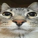 Coin image for Cgw1PAyv1Yhufk8tPZtesjWuhf1jMREsLa5MhVvBoZ1o