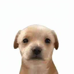 Coin image for ChYuPMTha9K51PqAMj2cNUm3Xg9yTsmVQrynKq3Qpump