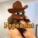 Coin image for ChdrtyWHXSsPoGPLoEDZ4jGaR2mQDaR6XJgDpjrfmTZr