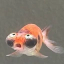 Coin image for CkK2CoLXrZeZgXfkZh8eVQXACY6tkMFzQd9pX4zEbonk