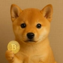Coin image for Cmdyww5qDfg7GfCCLtvnFhwByAorvZ15icyauzGJbonk