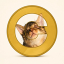 Coin image for CnfPSjchws1uyWA8gKJnpx3ZupbctpQaHZERZYWFpdqP