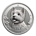 Coin image for Co5WwGeZfpfqGE1tUyAp1SBjcmumoY9sNN99MXRbX98K