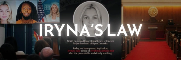 Iryna's Law Banner