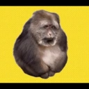 Coin image for D5sZpqrkm3JBYnLdkrqDULiTRd7AbWRUmwHSqPSfbonk