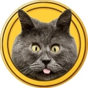 Coin image for D6zHmH8BDzSLBm2mJNjcZjqkYbxS4kaYruLsXrZ7bonk