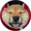 Coin image for DDNrqdqdEzSxgyFPMr6DYzR6csZsb7MkJobd8BnHBvHj