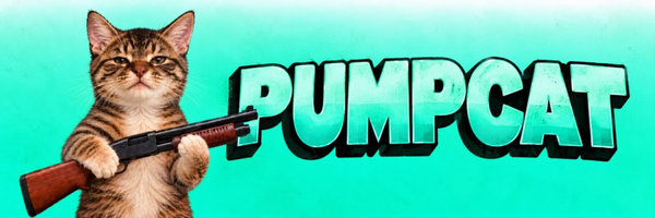 Coin image for DFQHUegJWE29Xu3BUxPezqi77uyHURRyxJpdtyvLpump