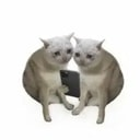 TWIN