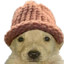 Coin image for DG8cWeGfFXyuCAJpyonrqtzXtMQyYvkpMbHsMah8VxcQ